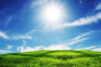 Green Grass And Blue Sky Wallpapers   Download Wallpapers Nature Free