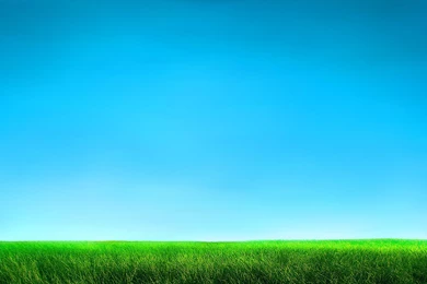 Sky And Grass Colors By Legosz On DeviantArt