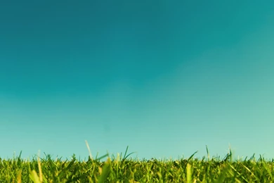 1152x865px Super Natural Wallpapers