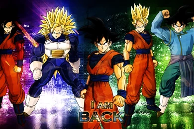 I Am Back Wallpapers By DBZArtist94 On DeviantArt