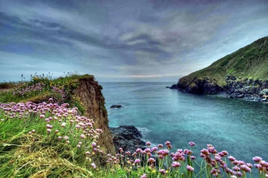 Beautiful Wallpapers For Desktop   Newwallpapershits.com