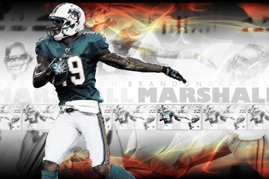 Miami Dolphins Brandon Marshall Wallpaper HD.png