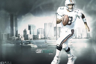 American Football Nfl Miami Dolphins