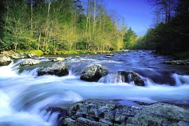 Desktop Wallpapers Online Hd Wallpaper Backgrounds Nature Scen ...