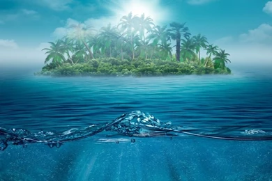 Pocket PC, PDA 800x600 Lonely Wallpapers HD, Desktop Backgrounds ...