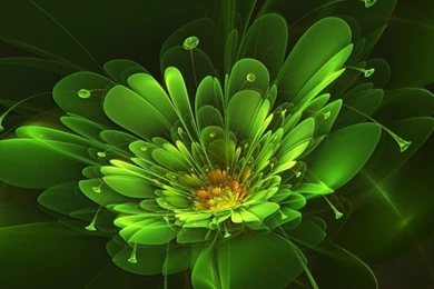 Pocket PC, PDA 800x600 Green Wallpapers HD, Desktop Backgrounds ...