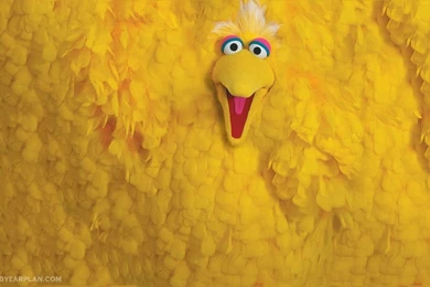 I Made Sesame Street Muppets turned into rugs — 50 Year Plan