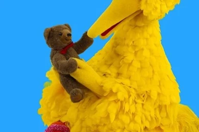 BigBirdRadar 2009.jpg