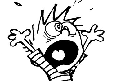 Calvin & Hobbes   Current Surroundings