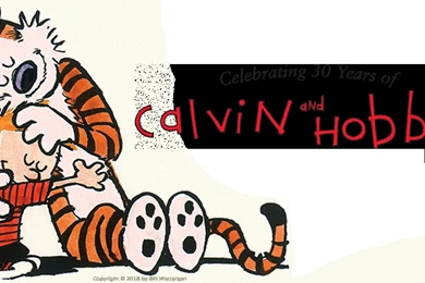 Calvin Takes On College