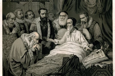 John Calvin   Wikipedia, The Free Encyclopedia