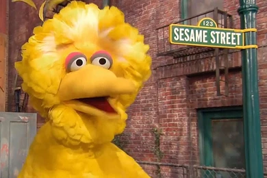 The Puppeteer To Sesame Street's 'Big Bird', Reveals His Most ...