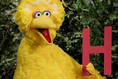 Big Bird And The Letter H