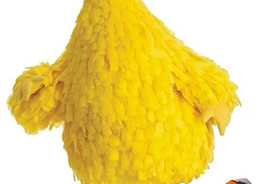 Big Bird skates 2.jpg