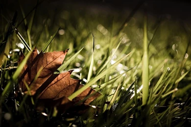 Latest Cool Wallpapers HD   HD Wallpaper Backgrounds Of Your Choice