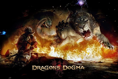 20 Dragon's Dogma HD Wallpapers