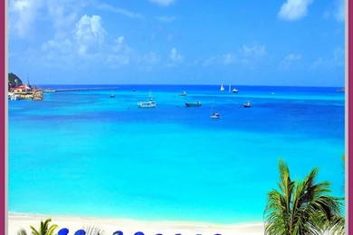 5 Free Desktop Wallpaper Beach Scenes5.jpg