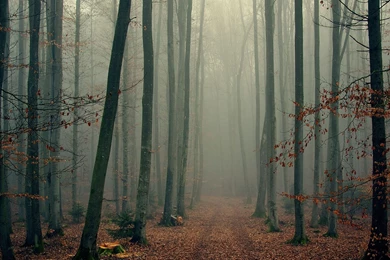 Super_desktop_ best_wallpaper _hd _zedge.jpg