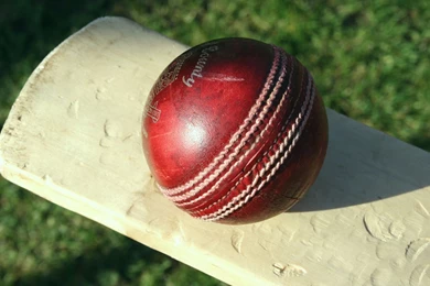 Cricket Bat And Ball DeskTop Wallpapers   Wallpapers Mela