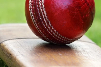 Cricket Bat And Ball Wallpapers   1080x1920   334864