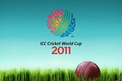 WORLD CUP 2011 MEMORIES