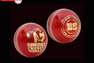 Balls And Cricket Bats Wallpapers Picture Image 1024x768 35041