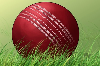 How To Seam A Cricket Ball: 11 Steps   WikiHow