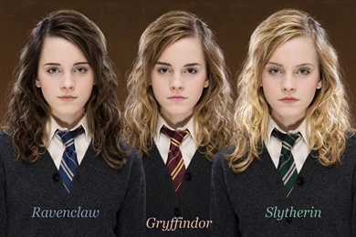 Hermione Granger   Harry Potter HD Lovely Wallpapers Free HD ...
