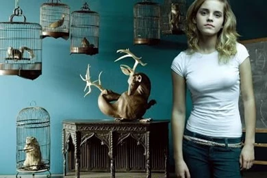 HARRY POTTER'S ULTIMATE FAN SITE: HERMIONE GRANGER @ EMMA WATSON ...