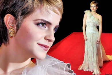 Emma Watson Aka Hermione Wallpapers   Hermione Granger Wallpapers ...