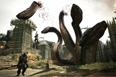 Dragon's Dogma Fighting 1920x1200 Wallpapers, 1920x1200 Wallpapers ...