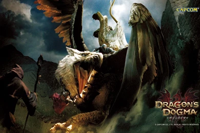 Dragon's Dogma: Dragon's Dogma   Minitokyo