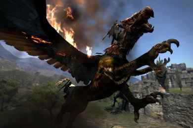 Burning monstar of dragons dogma flying.jpg