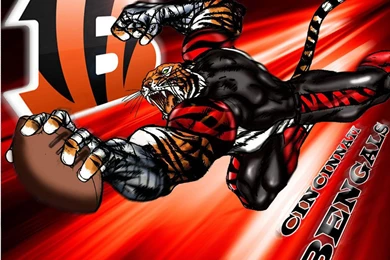 Desktop Wallpapers   Cincinnati Bengals