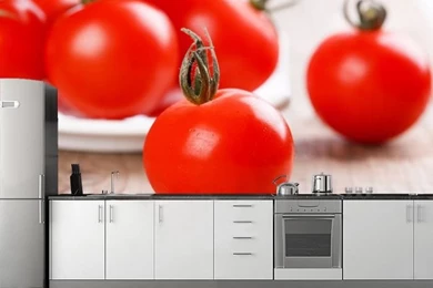 Wallpapers Murals For Kitchen   Wallpapers Mural Ideas