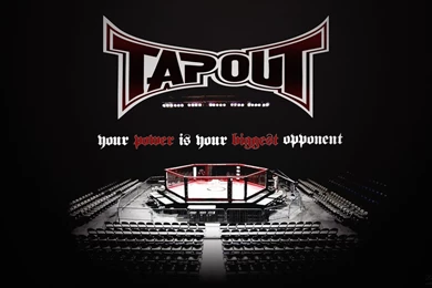 Octagon Mma, Tapout, Art, 1920x1080 HD Wallpapers And FREE Stock Photo