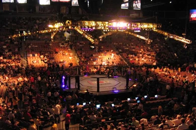 Octagon Ring Screenshots, Images And Pictures   Giant Bomb