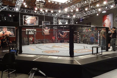 TUF 19   Episode Six Preview   Ultimate Fighting Championship Mobile