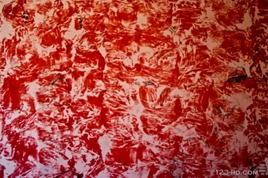 Red Damask Wallpapers Widescreen HD Wallpapers