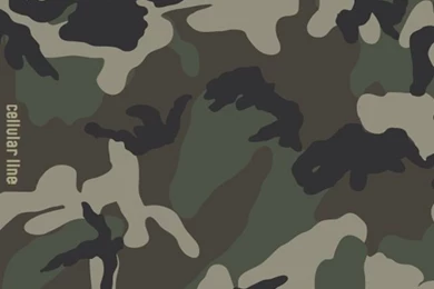 Places To Visit On Pinterest