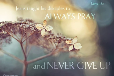 Pray And Never Give Up