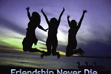 Friendship Sms Friendship Messages