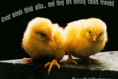 Friendship Wallpapers 14   Best Wallpapers Collection