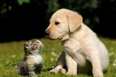 YouWall   Lovely Friendship Wallpapers   Wallpaper,wallpapers,free ...