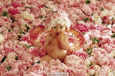 Best Wallpapers: Cute Babies Wallpapers