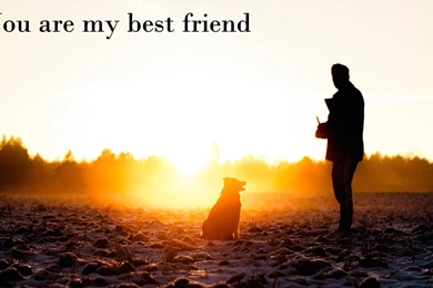 I Love My Friends Desktop Wallpapers