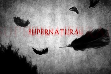 Wallpapers By Paridox On DeviantArt