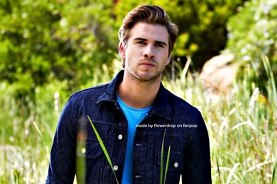 Liam Wallpaperღ   Liam Hemsworth Wallpapers (35499586)   Fanpop