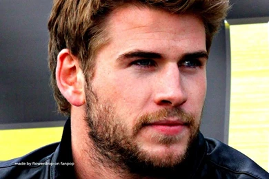 Liam Wallpaperღ   Liam Hemsworth Wallpapers (35498800)   Fanpop