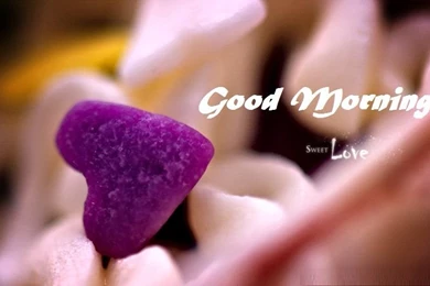 Good Morning Images Pictures